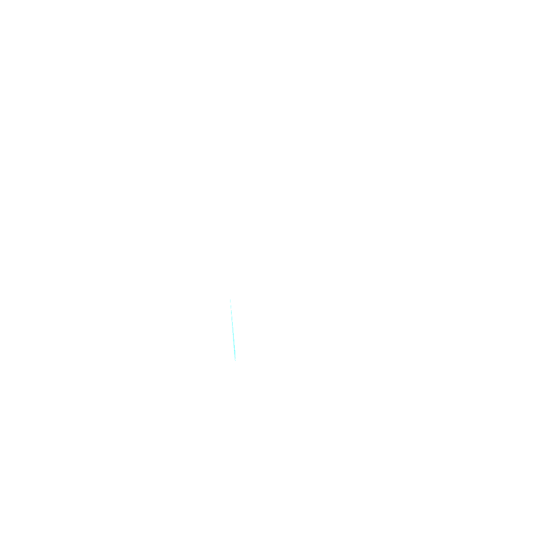 Paralucent bird animation