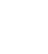 Paralucent Bird Logo